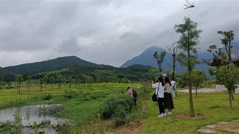 光澤離哪個縣最近：地理解析與探索